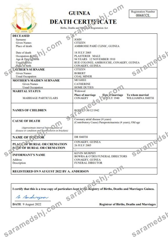 Guinea death certificate Word and PDF template,